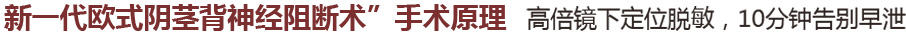 新一代欧式阴茎背神经阻断术手术原理 高倍镜下定位脱敏,10分钟告别早泄